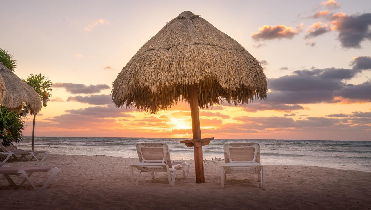 Platinum Yucatan Princess Adults Only 普拉亚卡门 外观 照片 Sunset at the beach